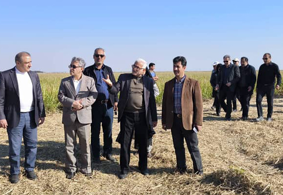 مشاور وزیر جهاد کشاورزی در بازدید از صنعت نیشکر؛  پیوند عمیق نیشکر با جامعه، رمز پایداری آن است/ نیشکر در سطح ملی و محلی جایگاه ویژه‌ای دارد/ لزوم بهره‌گیری از فناوری‌های نوین برای غلبه بر چالش‌ها