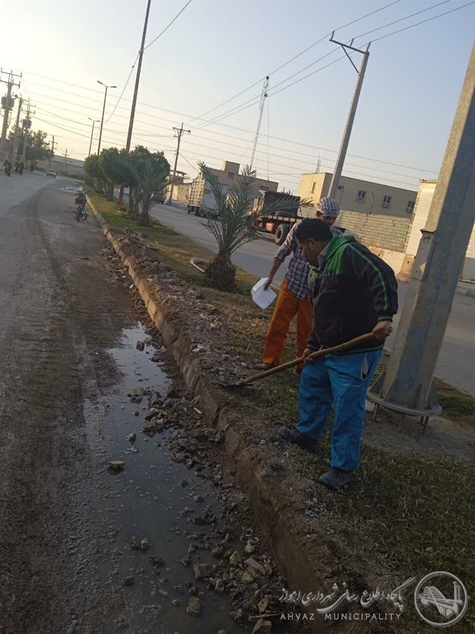 پارک های محدوده منطقه ۶ جهت استقبال از سال جدید ساماندهی می شوند