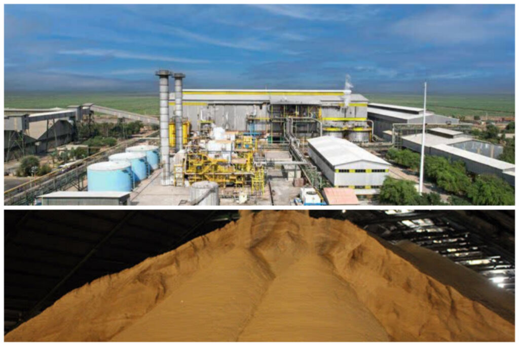 کشت و صنعت نیشکر امام خمینی (ره) رکوردشکنی کرد؛ ثبت تولید بی‌سابقه بیش از ۱۱۵ هزار تن شکر خام در آغاز سال جدید