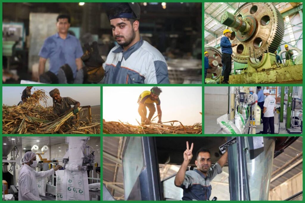 کارگران نیشکر مشغول به کارند؛ صدای مقاومت در سنگر تولید در خط مقدم «پدافند» اقتصادی