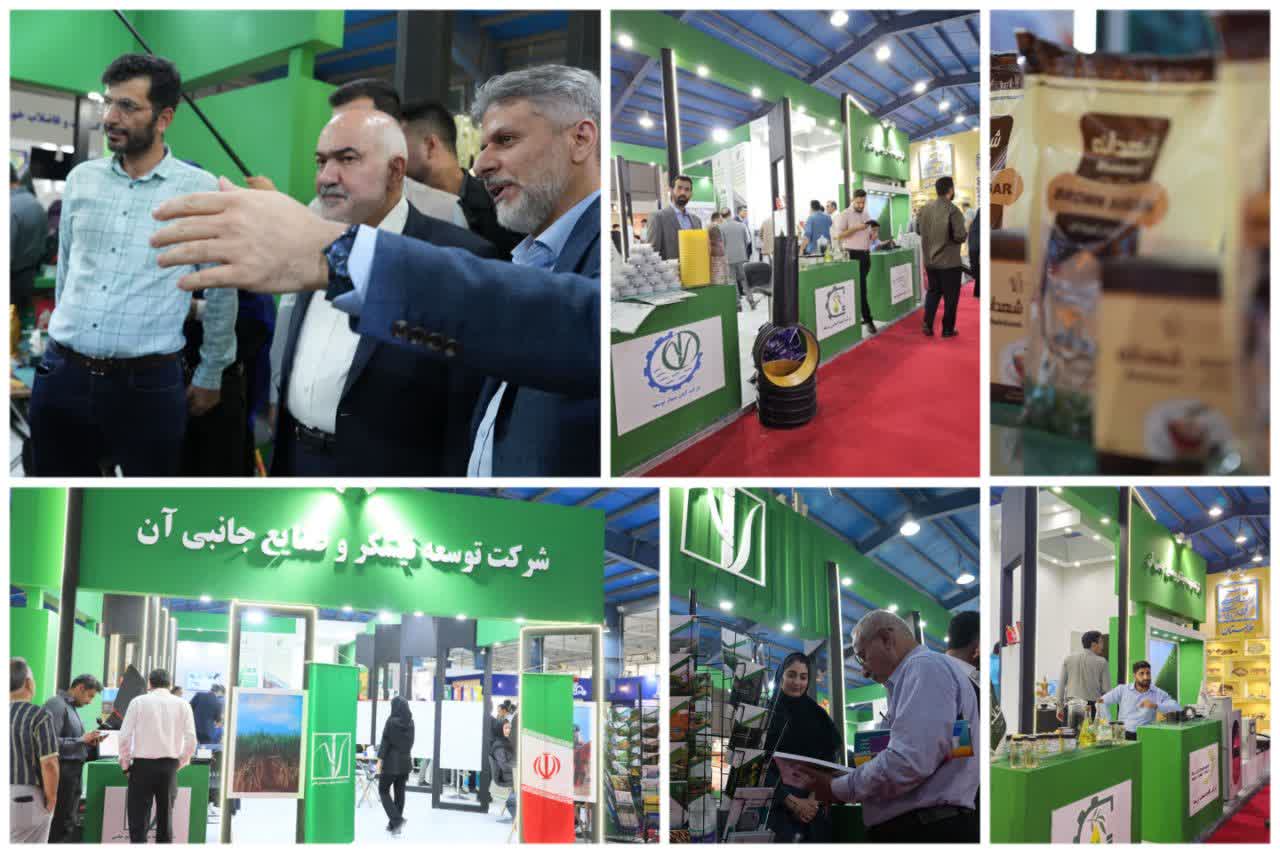 نمایش توانمندی‌های شرکت توسعه نیشکر در نمایشگاه هفته دولت؛ نیشکر با محصولات متنوع در کانون توجه بازدیدکنندگان/ از پایش ماهواره‌ای تا شکر طعم‌دار؛ جلوه‌های نوین نیشکر در تولید پایدار